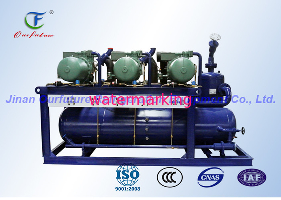 Unidade 380V/3P/50Hz do compressor da sala fria, unidades de refrigeração comerciais